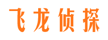 清流背景调查